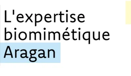 Aragan