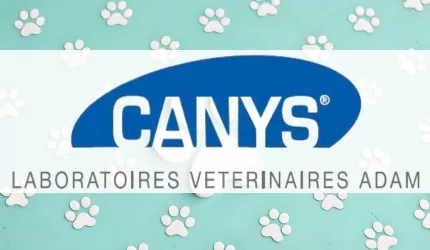 Canys