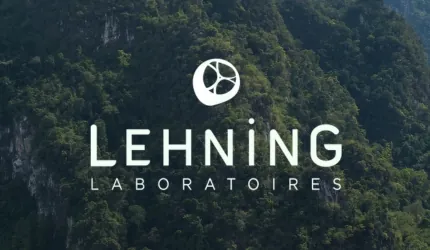 Lehning