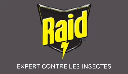 Raid