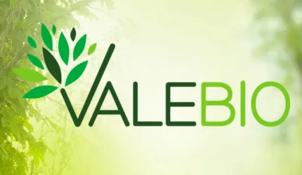 Valebio