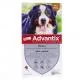 ADVANTIX Pipettes Antiparasitaires Très Grands Chiens 40 à 60kg (4 x 6ml) - Illustration n°1