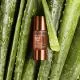 CLARINS Self Tan - Addition Concentré Eclat Visage flacon 15ml - Illustration n°3