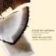 CLARINS Summer look - Poudre bronzante 10g - Illustration n°5