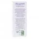 DOCTEUR VALNET Huile essentielle d'eucalyptus globulus bio flacon 10ml - Illustration n°2