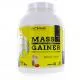ERIC FAVRE Mass Gainer native protein cookie 3kg - Illustration n°1