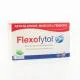 FLEXOFYTOL Extrait bio-optimis&eacute; de Curcuma Longa bo&icirc;te de 60 comprim&eacute;s - Illustration n&deg;1