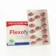 FLEXOFYTOL Extrait bio-optimis&eacute; de Curcuma Longa bo&icirc;te de 60 comprim&eacute;s - Illustration n&deg;2