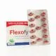 FLEXOFYTOL Extrait bio-optimis&eacute; de Curcuma Longa bo&icirc;te de 60 comprim&eacute;s - Illustration n&deg;4