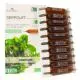 FLORA NATURA Serpolet Bio 20 Ampoules 15ml - Illustration n&deg;2