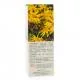 HAUT-SEGALA Huile v&eacute;g&eacute;tale d'Arnica BIO flacon 50 ml - Illustration n&deg;2