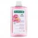 KLORANE Apaisant - Shampooing Pivoine Bio anti-irritation et protecteur 400ml - Illustration n&deg;1