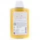 KLORANE Nutrition - Shampooing Mangue Nourrissant & éclat 200ml - Illustration n°2