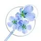 KLORANE Volume - Shampooing sec texturisant 150ml - Illustration n°3