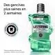 LISTERINE Total Care - Bain de bouche protection dents et gencives Intense flacon 500ml - Illustration n°3