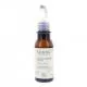 MELVITA Huile de beaut&eacute; - Huile d'amande douce 50ml - Illustration n&deg;1