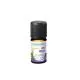 NATURACTIVE Huile Essentielle Bio Carvi flacon 5ml - Illustration n&deg;3