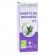 NATURACTIVE Huile Essentielle Bio Sarriette des Montagnes flacon 5ml - Illustration n°1