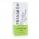 PRANAROM Huile essentielle lavande fine AOP bio 5ml - Illustration n&deg;1
