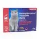 VIATRIS Milbemycine Oxime / Praziquantel Chat+2kg x2 Comprimés - Illustration n°1