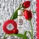 ROGER & GALLET Coffret Eau Parfumée Bienfaisante Gingembre Rouge 30ml et Savon 100g - Illustration n°2