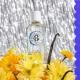ROGER & GALLET Coffret Eau Parfumée Bienfaisante Vanille Soleil 30ml et sa Crème Mains - Illustration n°2