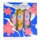 ROGER & GALLET Coffret Trio Crèmes Mains Relaxantes 30 ml - Illustration n°1