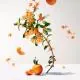 ROGER & GALLET Lait Sorbet revitalisant fleur d'osmanthus flacon pompe 200ml - Illustration n°2