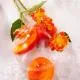 ROGER & GALLET Savon pain bienfaisant fleur d'osmanthus 100 g - Illustration n°7