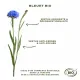 SANOFLORE Aciana Botanica mousse d'eau nettoyante - Illustration n°6