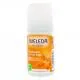 WELEDA Déodorant roll-on argousier 50ml - Illustration n°1