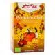 YOGI TEA Infusion Pumpkin Chai bio x17 Sachets - Illustration n°1