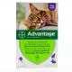 BAYER Advantage 80mg chat/lapin pipette 0.8ml x 6 - Illustration n°1