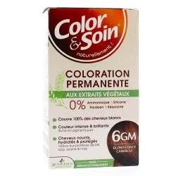 LES 3 CHÊNES Beauté Color & Soin Coloration permanente aux extraits végétaux teinte 6GM Blond foncé cannelle