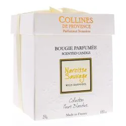 COLLINES DE PROVENCE Bougie parfumée narcisse sauvage 250g