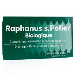 Raphanus Potier 12 ampoules