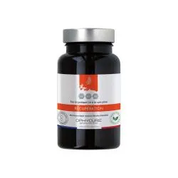 OPHYCURE Récupération 60 gélules