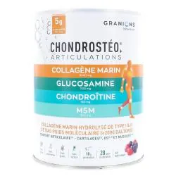 GRANIONS Collagène marin - Chondrostéo articulations 280g