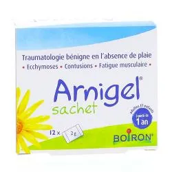 ARNIGEL 12 sachets de 2g