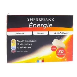 HERBESAN Energie x30 comprimés effervescents