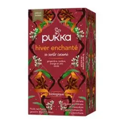 PUKKA hiver enchanté infusion bio x20sachets