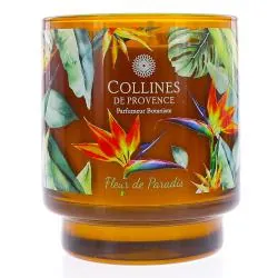 COLLINES DE PROVENCE Bougie parfumée Fleur de Paradis 220g