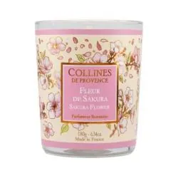 COLLINES DE PROVENCE Bougie parfumée Fleur de Sakura 180g