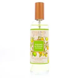 COLLINES DE PROVENCE Parfum d'intérieur Agrumes du soleil 100ml