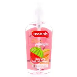 ASSANIS Gel Hydroalcoolique Melon Pastèque 250ml