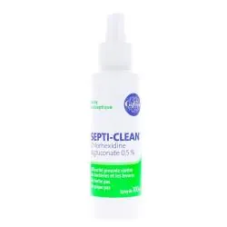 GIFRER Septi-Clean Spray Antiseptique 100ml