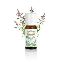 PURESSSENTIEL Huile essentielle menthe verte bio 10ml