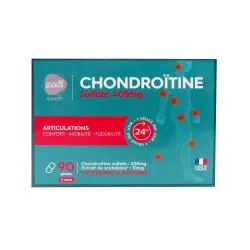 PHARMASCIENCE Chondroïtine sulfate 400 mg x90 gélules