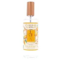 COLLINES DE PROVENCE Parfum d'Intérieur Fleur de Kumquat 100ml