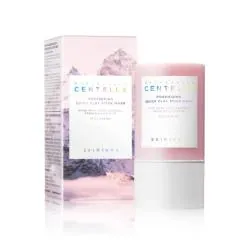 SKIN 1004 Madagascar Centella Poremizing Quick Clay Stick Mask 27g